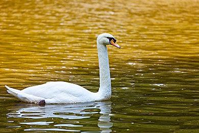 《光环：无限》第二赛季两张全新地图视频展示
