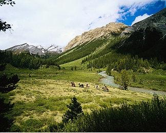 KK对战平台明星创作者专访“随手发布，还真能被泼天的流量砸中。”